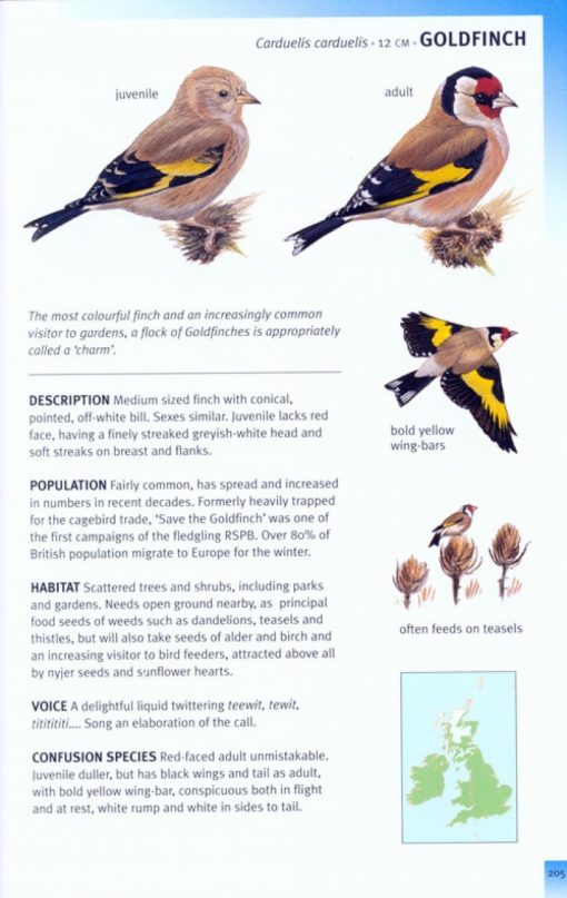 RSPB Pocket Guide to British Birds 2dn ed. from Summerfield Books