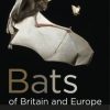 Bats of Britain and Europe