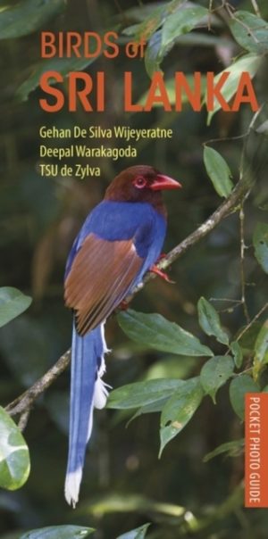 Pocket Photo Guide to the Birds of Sri Lanka