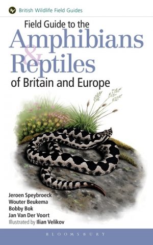 Amphibians & Reptiles of Britain and Europe (Helm Field Guide series)