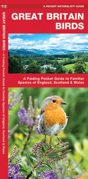 Great Britain Birds: A Folding Pocket Guide to Familiar Species of England, Scotland & Wales. 2nd edition