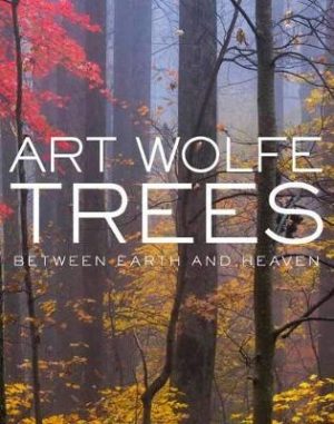 Trees: Between Heaven and Earth