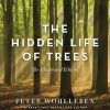 The Hidden Life of Trees: The Illustrated Edition