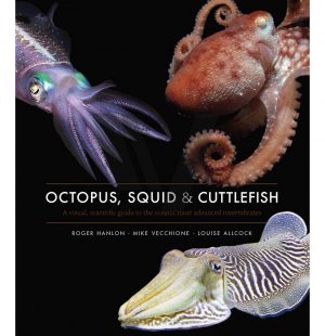 Octopus, Squid & Cuttlefish: A Visual, Scientific Guide to the Ocean's Most Advanced Invertebrates