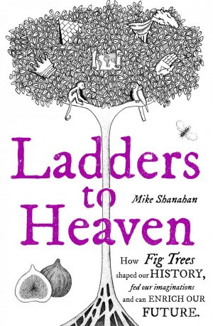 Ladders to Heaven: How Fig Trees Shaped Our History, Fed Our Imaginations and Can Enrich Our Future