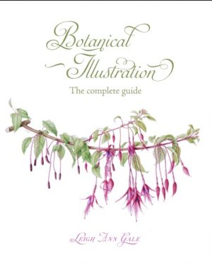 Botanical Illustration : The Complete Guide