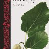 Mulberry