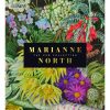 Marianne North: The Kew Collection