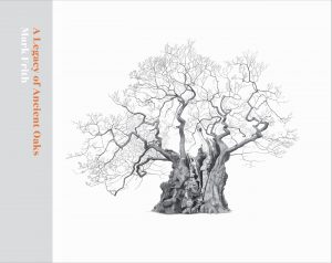 A Legacy of Ancient Oaks