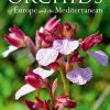 Field Guide to the Orchids of Europe and the Mediterranean