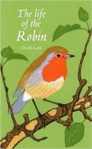 The Life of the Robin