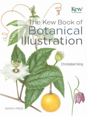 The Kew Book of Botanical Illustration