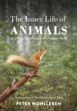 The Inner Life of Animals