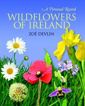 WILDFLOWERS OF IRELAND – A Personal Record