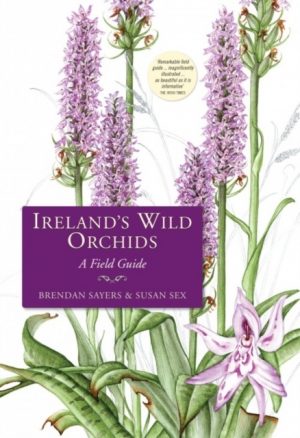 Ireland's Wild Orchids: A Field Guide