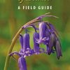 The Wildflowers of Ireland – A Field Guide