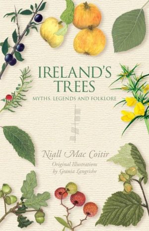 Ireland's Trees : Myths, Legends & Folklore