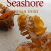 Ireland's Seashore: A Field Guide