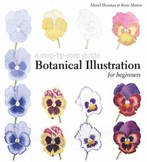 Botanical Illustration for Beginners: A Step-By-Step Guide