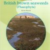 A Field Key to the British Brown Seaweeds