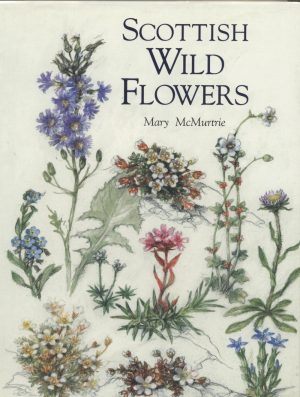 Scottish Wild Flowers