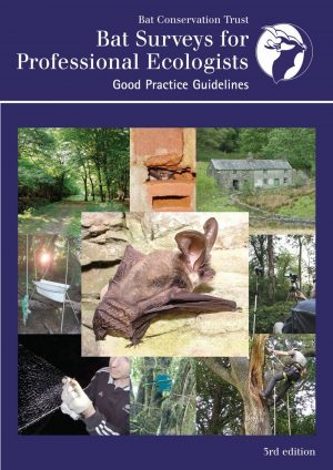 Bat Surveys for Professional Ecologists: Good Practice Guidelines