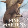 Pine Martens