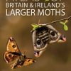 Atlas of Britain and Ireland's Larger Moth book cover