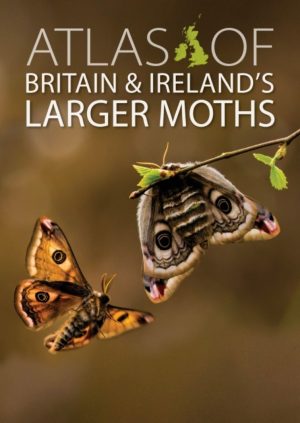 Atlas of Britain and Ireland's Larger Moth book cover
