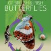 Life Cycles of British and Irish Butterflies