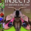 A Comprehensive Guide to Insects of Britain and Ireland