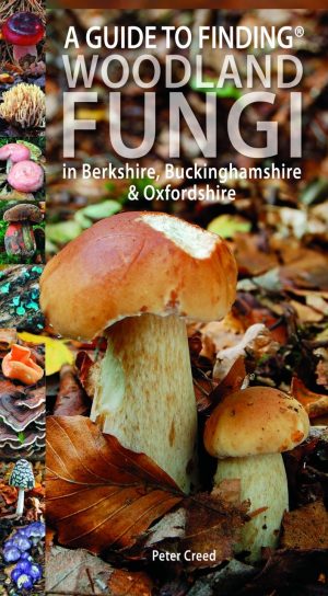 A Guide to Finding Woodland Fungi in Berks, Bucks & Oxfordshire