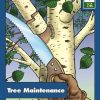 Tree Maintenance: A Collection of CEU Articles