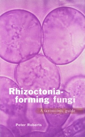 Rhizoctonia-forming fungi: A taxonomic guide