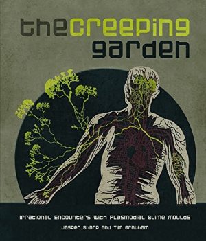 The Creeping Garden: Irrational Encounters with Plasmodial Slime Moulds
