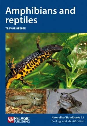 Amphibians and Reptiles - Naturalists' Handbook 31