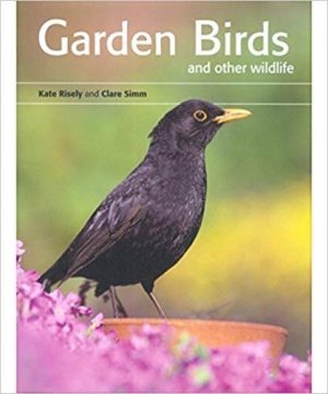 Garden Birds and other wildlife