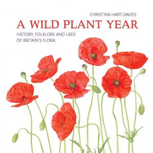 Wild Plant Year: The History, Folklore and Uses of Britain's Flora