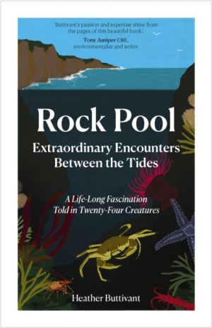 Rock Pool: Extraordinary Encounters Between the Tides : A Life-long Obsession told in Twenty Creatures