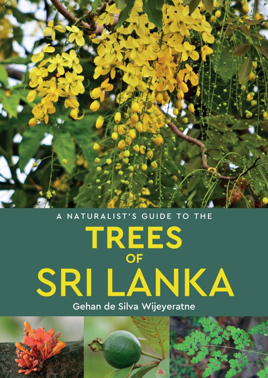 nature of sri lanka essay
