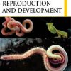 Invertebrate Reproduction and Development