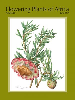 Flowering Plants of Africa, Volume 65: Plates 2321–2340 2017