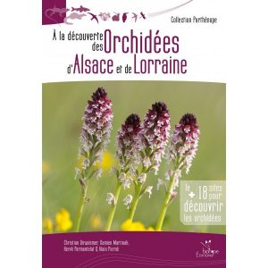 A la découverte des Orchidées d'Alsace et de Lorraine