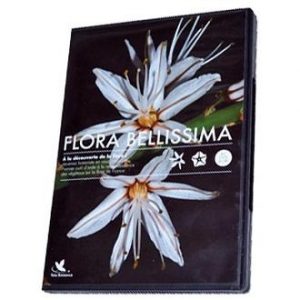Flora Bellissima