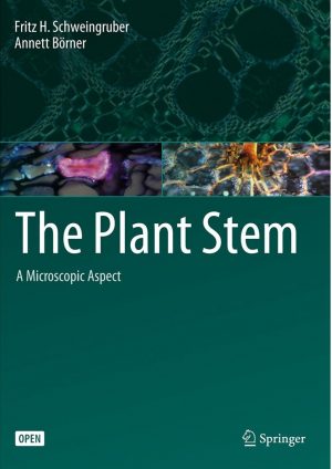 The Plant Stem: A Microscopic Aspect