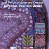 Photographic Atlas for the Microscopic Identification of Twigs of Selected Central European Trees and Shrubs
