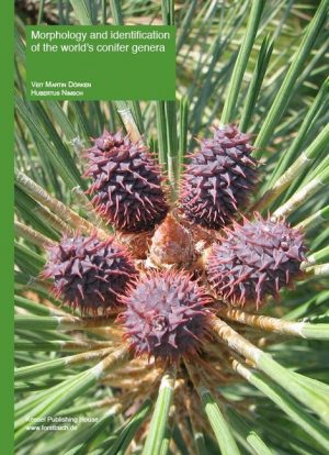 Morphology and identification of the world's conifer genera