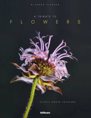 Tribute to Flowers: Plants Under Pressure