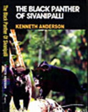 The Black Panther of Sivanipalli