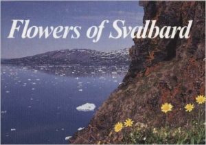 Flowers of Svalbard